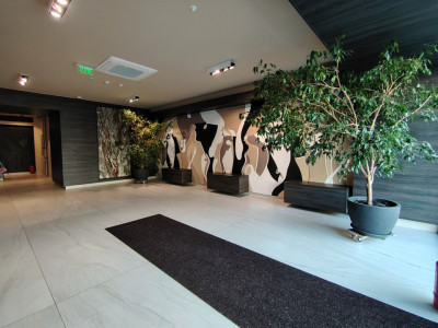 AVIATIEI - WALTER LOFT SPACE, 2 CAMERE PREMIUM 62 MP UTILI, TERASA 16 MP, 2 BAI!